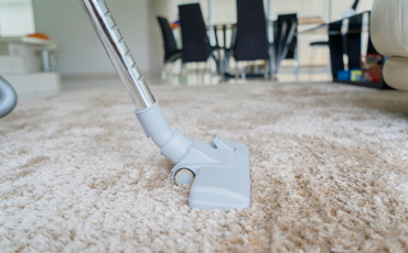 carpet cleaning services near me